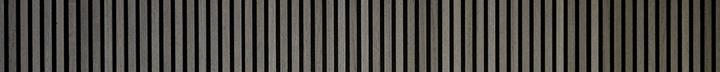Black Friday Banner (1)